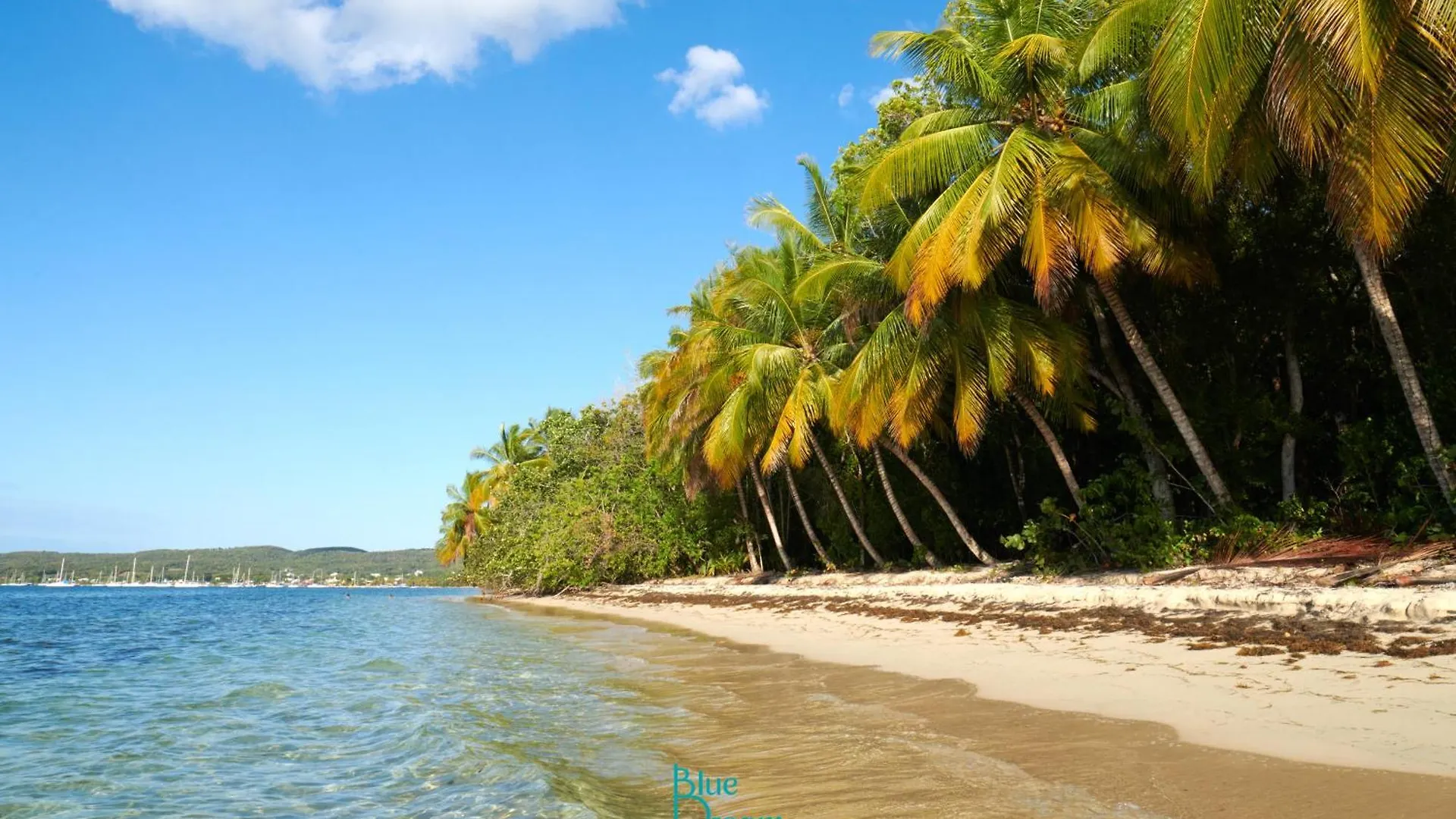 Appartement Manbanna 324 Grand-Bourg  Guadeloupe